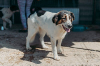 /album/220/whatsapp-image-2026-01-14-at-22-07-12-2-jpeg/